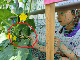 Inked240613114757995_li