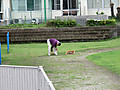 Img_1245