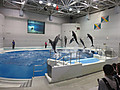 Img_1571