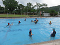 Img_1781