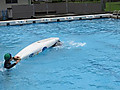 Img_2556