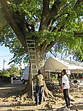 Img_3682