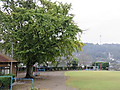 Img_4323