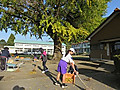 Img_4467
