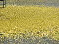 Img_4602