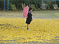 Img_4605