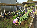 Img_5018
