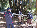 Img_5209