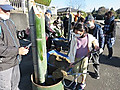 Img_5237
