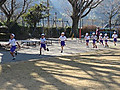 Img_5294
