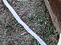 Img_5399
