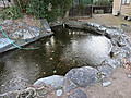 Img_5817
