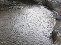 Img_5818