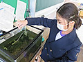 Img_5729_2