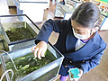 Img_5731_2