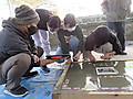 Img_5971