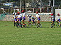 Img_7984_2