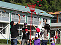 Dsc07238 Dsc07238